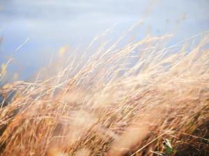 ‘A Force of Nature’ as an Oncology Nurse