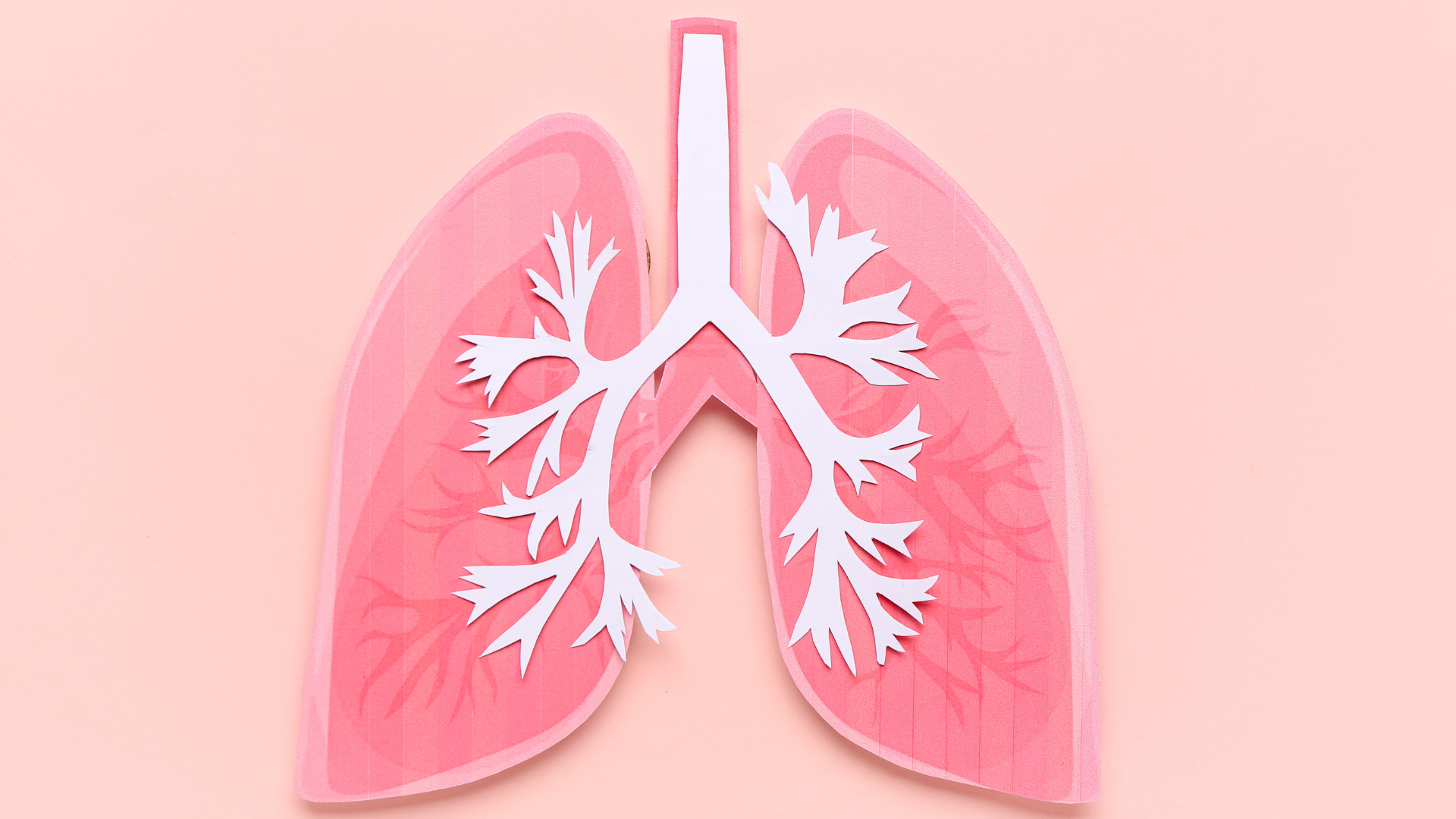 Lung