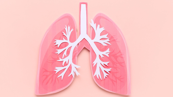 Lung