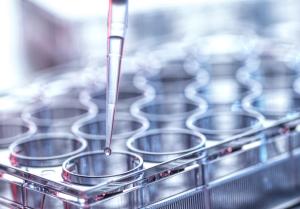 Phase 1 Trial Approved for Anti-Inflammatory mAb JJP-1212