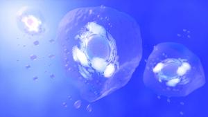 Social Media Mythbusters: Exosomes in Skin Care