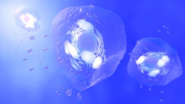 Social Media Mythbusters: Exosomes in Skin Care
