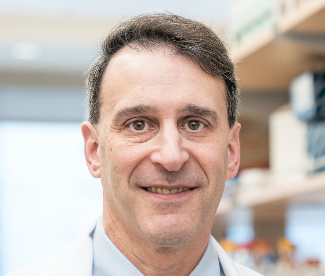 Dr. Grossman