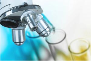 Allergy and Dermatology Best Practices for Collaborative Diagnosis and Care