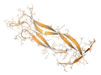 Interleukin 17 (IL-17A, IL-17) cytokine molecule