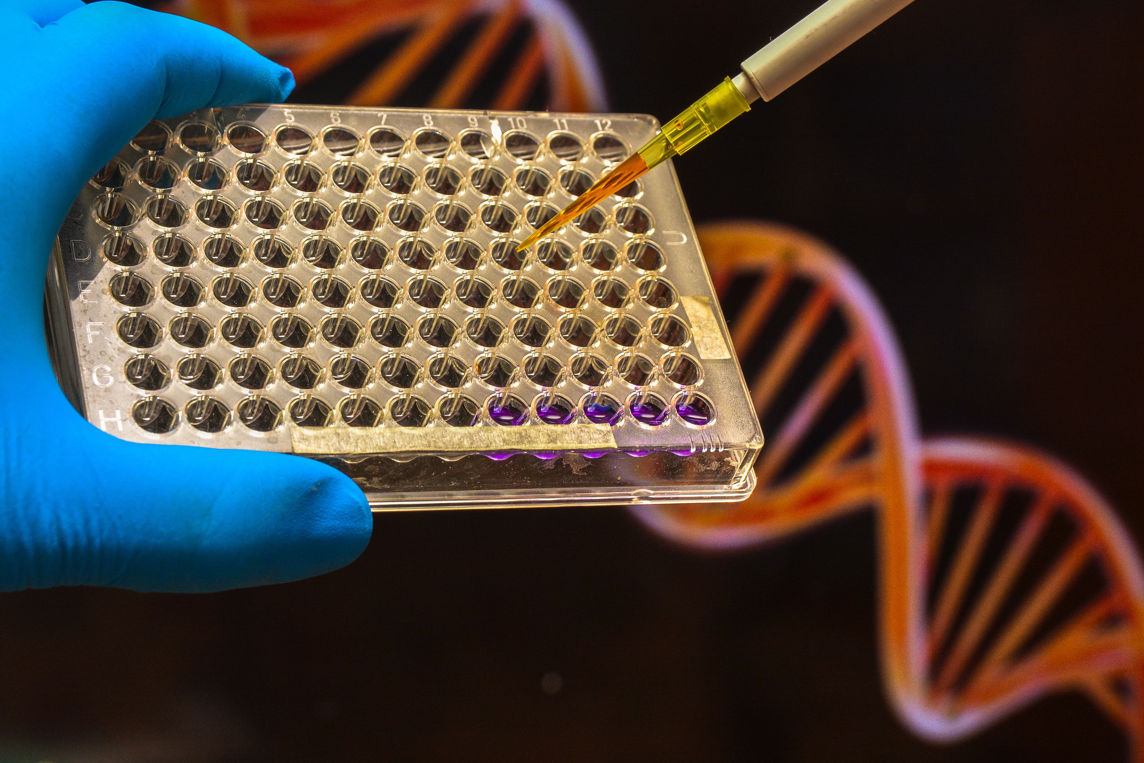 Genomic Testing Exploring the Emergence of Genomic Testing in Dermatology