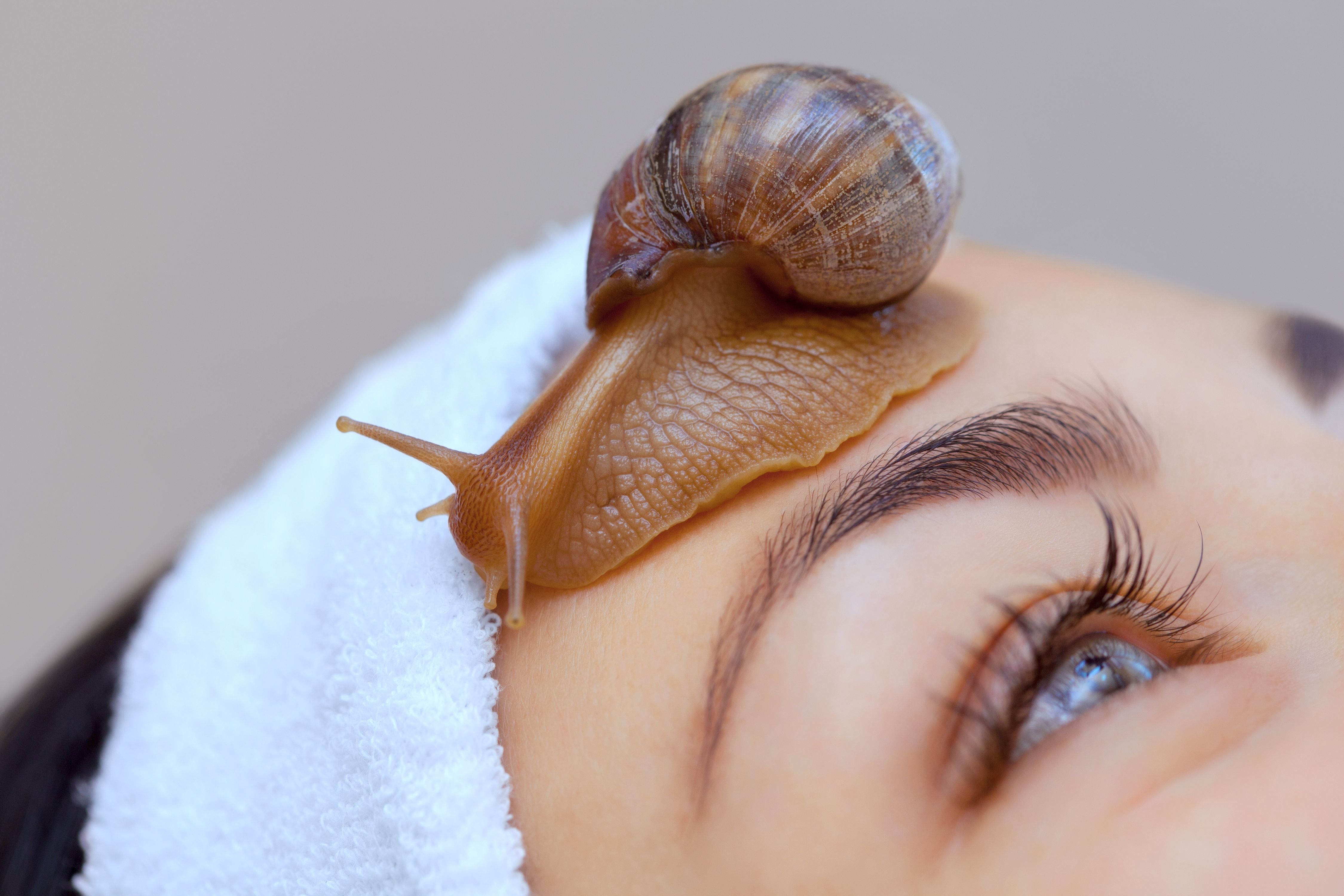 Current Clinical And Aesthetic Applications Of Snail Mucin current-clinical-and-aesthetic-applications-of-snail-mucin