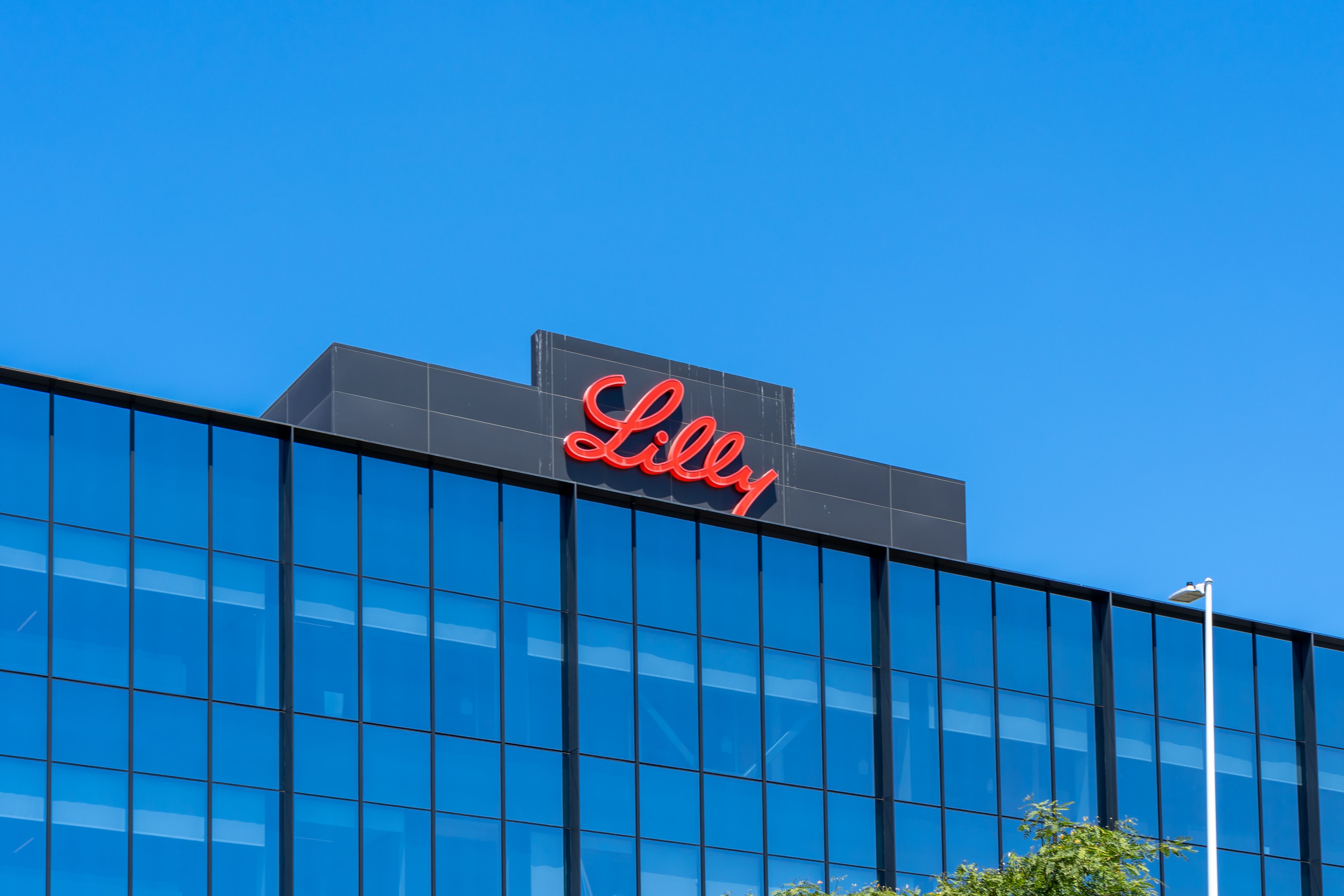 Eli Lilly Resubmits BLA For Lebrikizumab For The Treatment Of Moderate ...