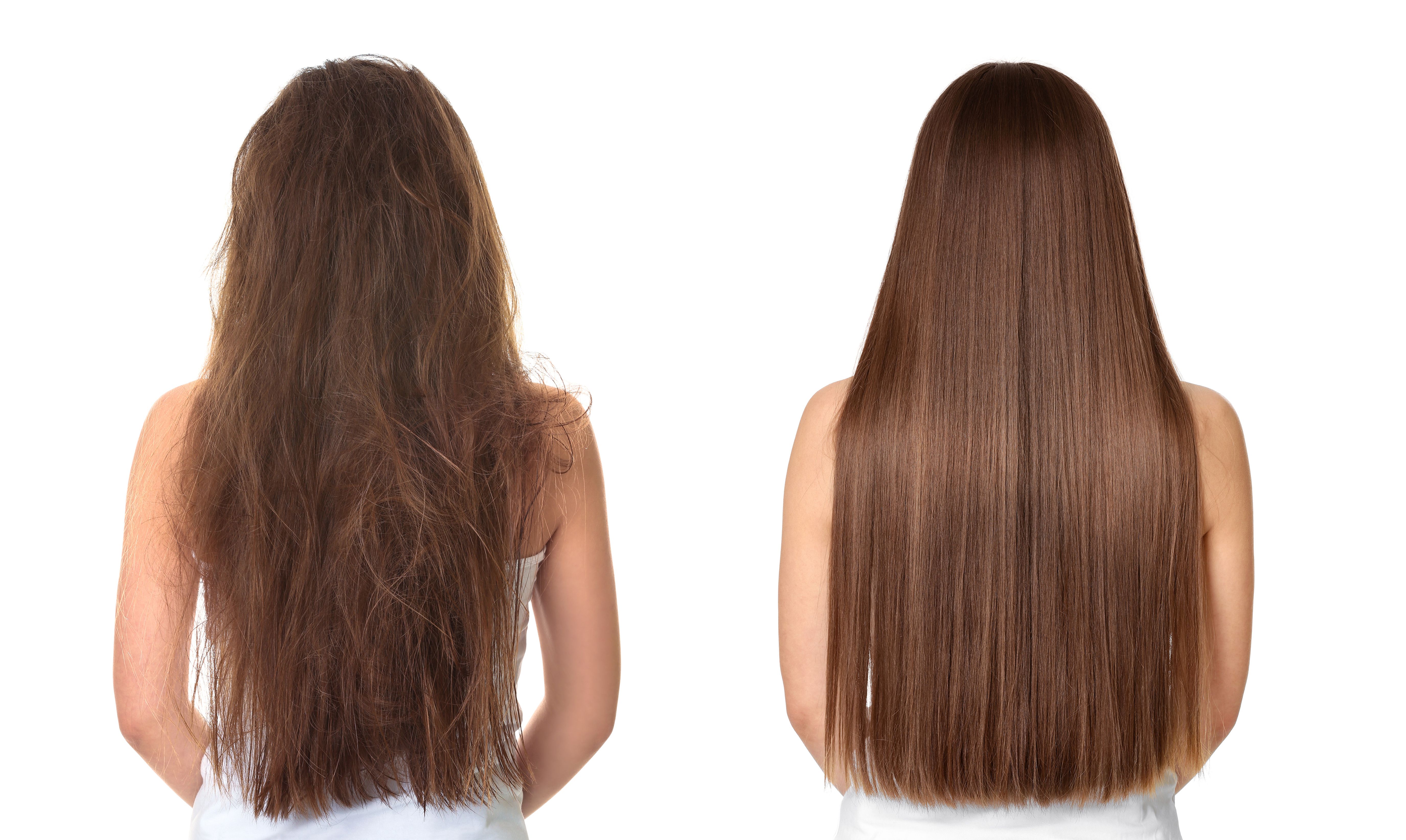 Фото без волос. Before after Keratin hair. К 18 восстановление волос. Как убрать шелковистые волосы. Масло для волос которые много выпрямляли. Фото без волос. Before after Keratin hair. К 18 восстановление волос. Как убрать шелковистые волосы. Масло для волос которые много выпрямляли.