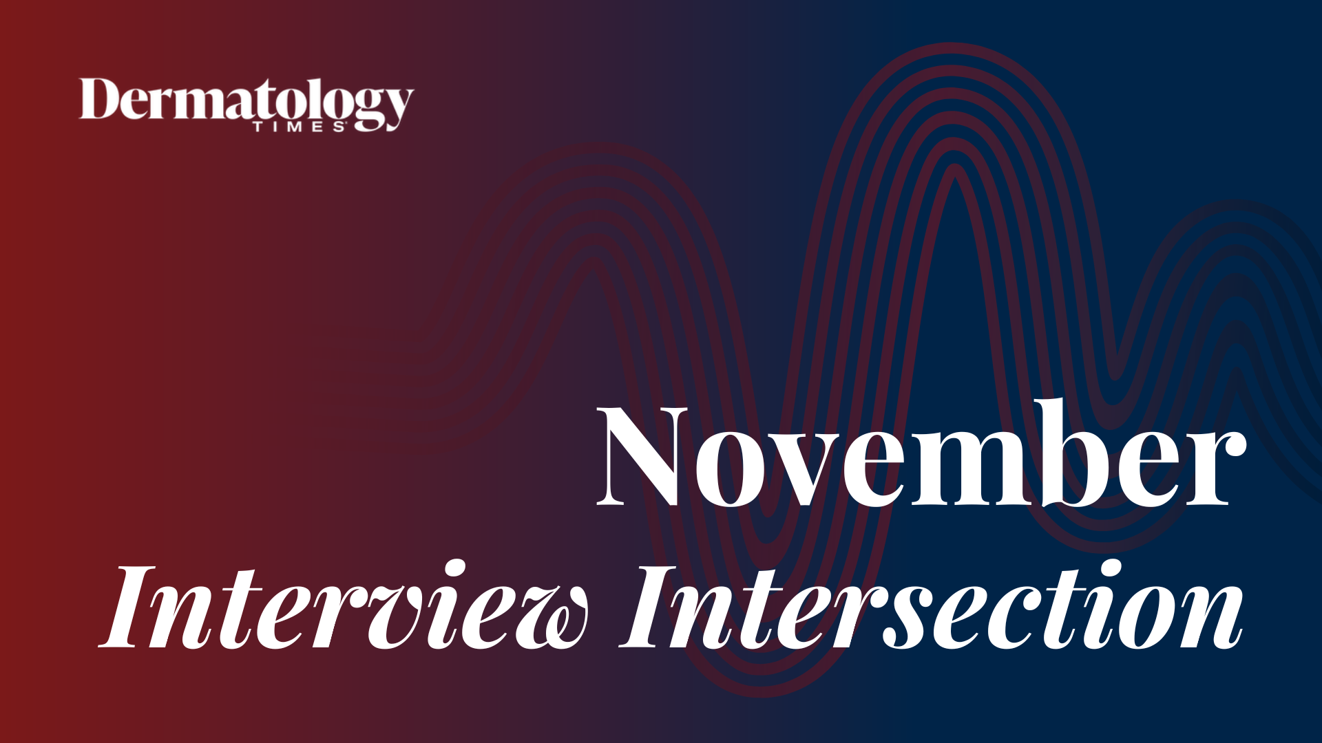 Interview Intersection: Expert Interviews From November 2024