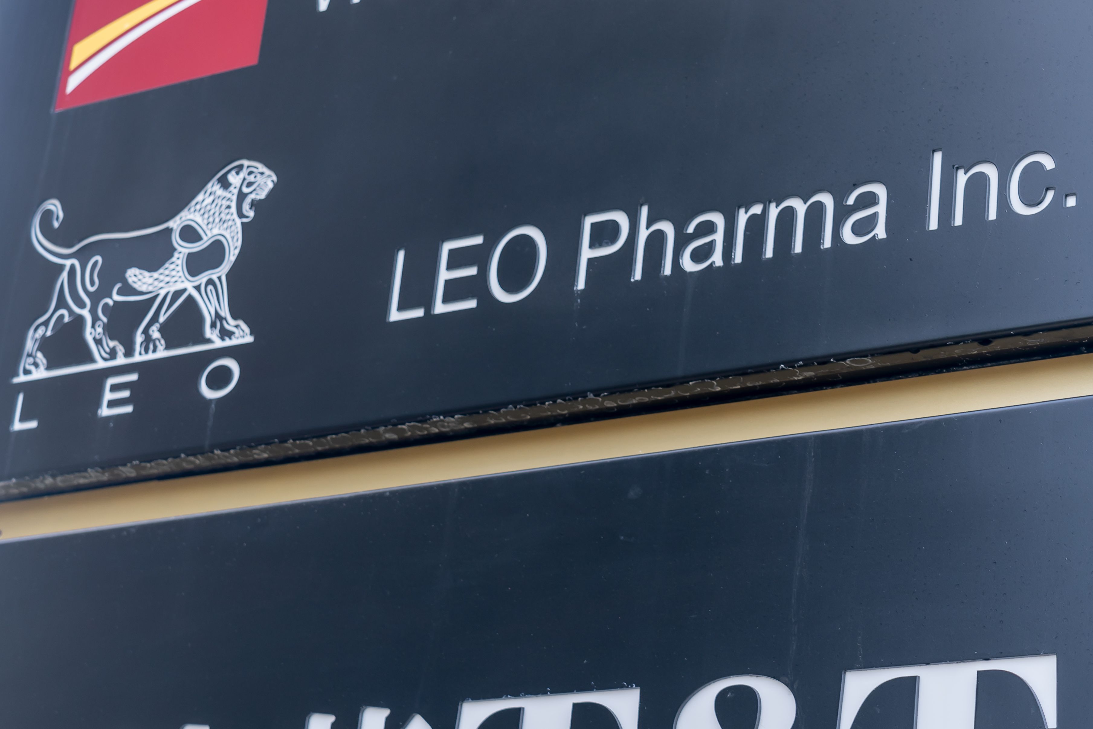 LEO Pharma's Delgocitinib Launches for Chronic Hand Eczema in Germany