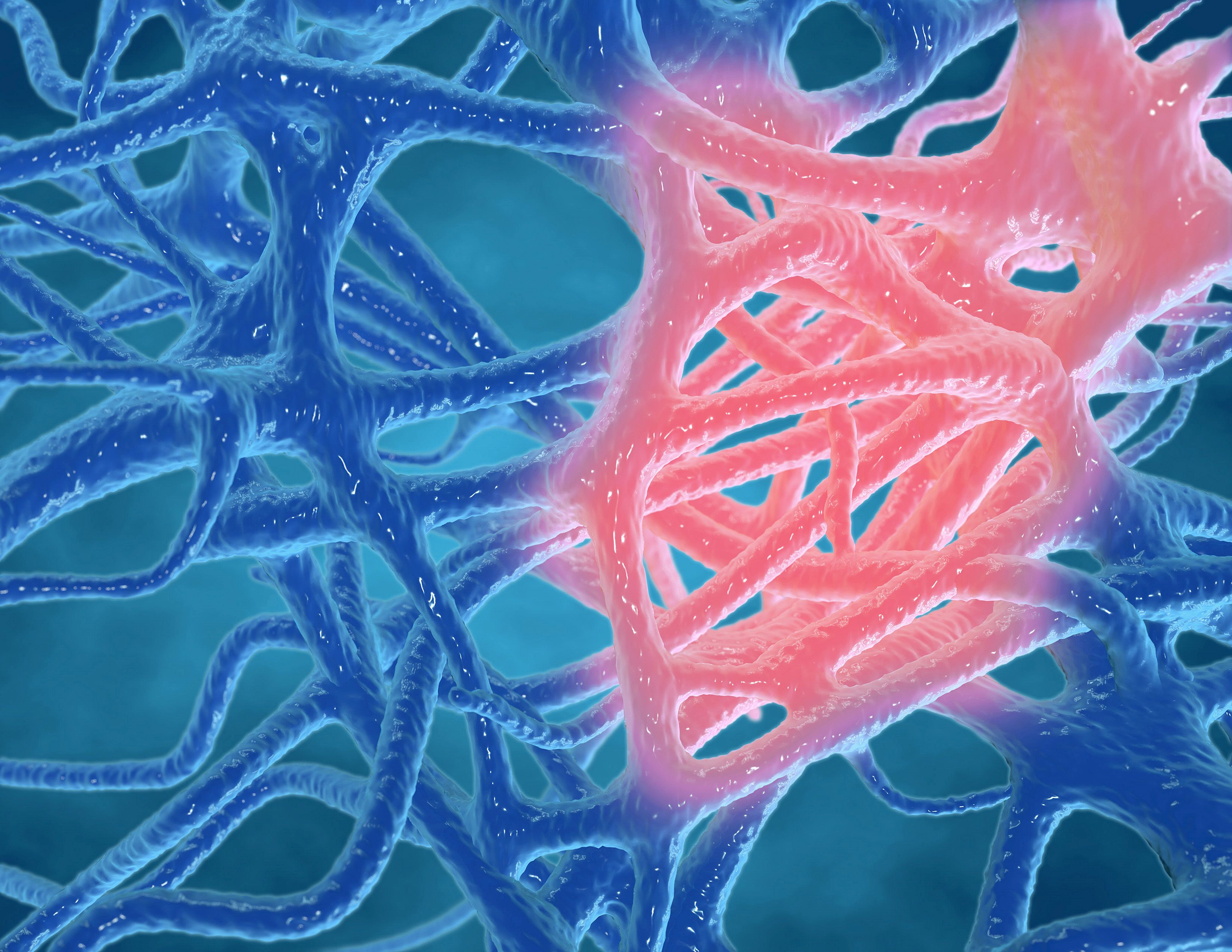 Type 2 Vs Type 1 Inflammation