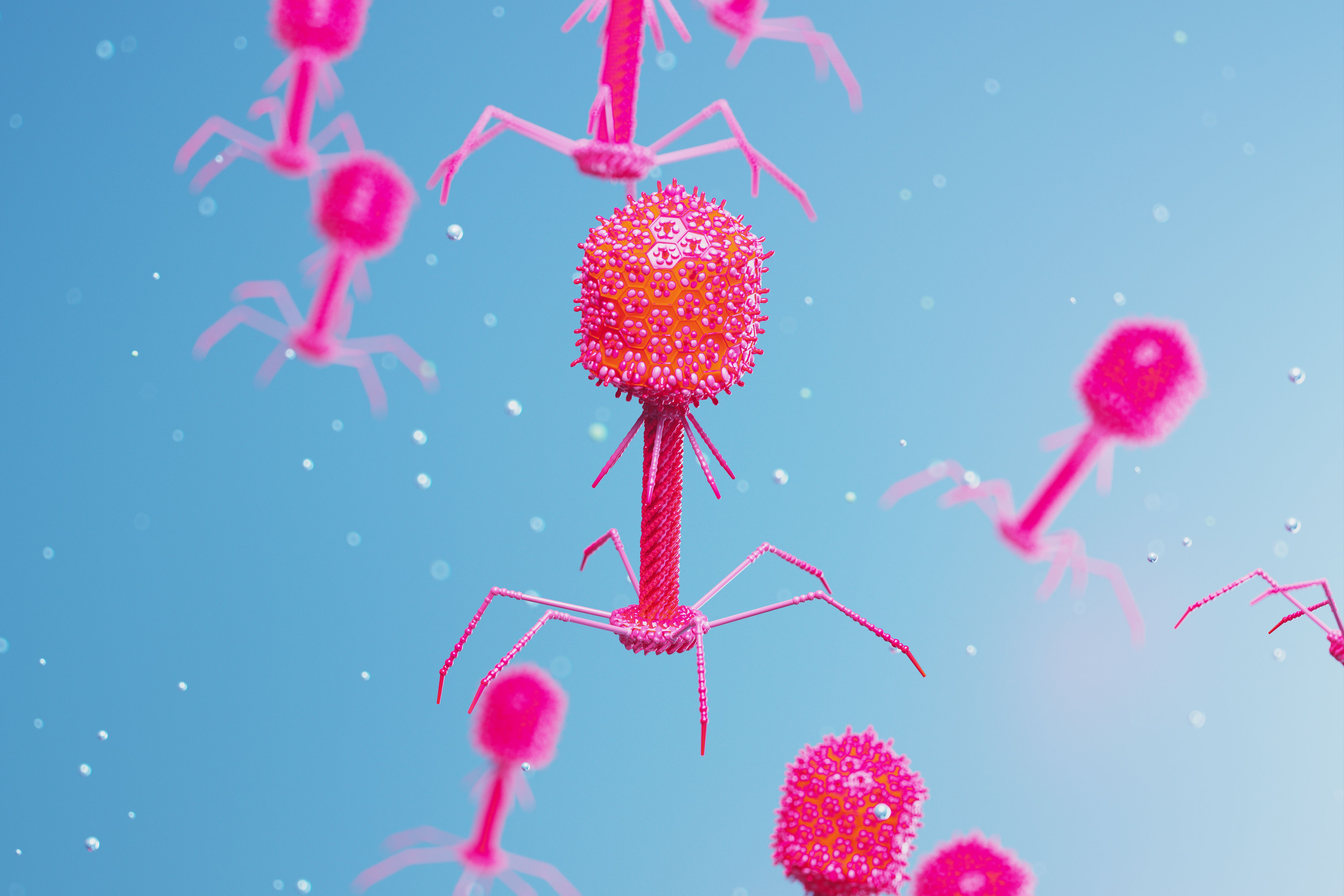 Phages in Dermatology: What Is Their Role?