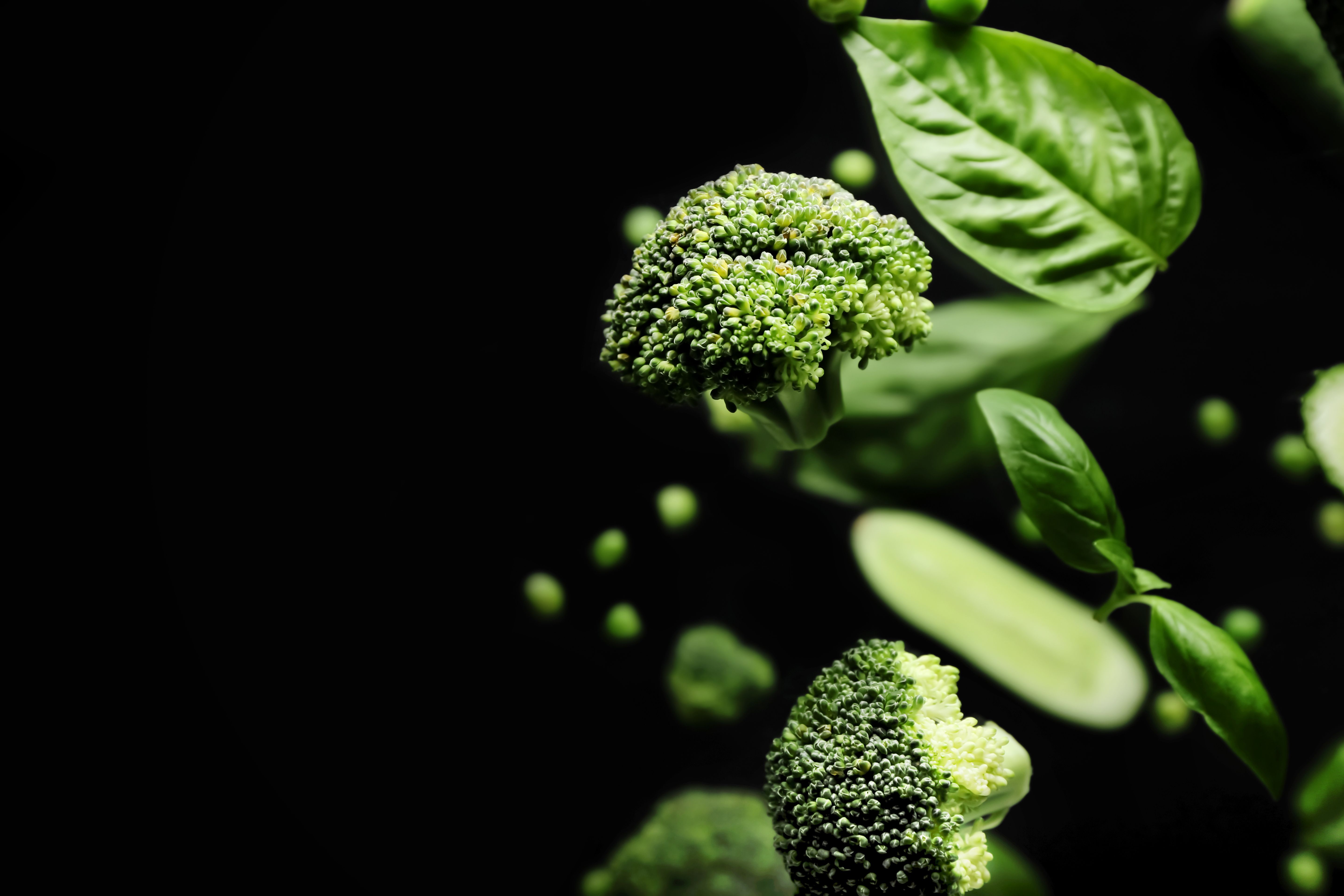 Study Dark Leafy Green Vegetable Intake and Reduced SCC Risk