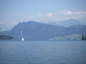 24th CARS: A congress to remember