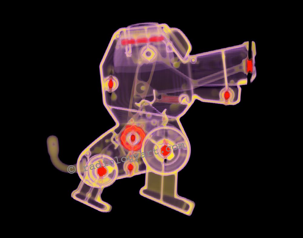 CT scan of wind-up dog toy.