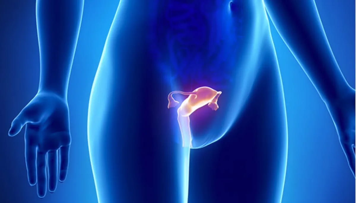 Ultrasound-Derived Fibroid Mapping Technology Gets FDA Nod