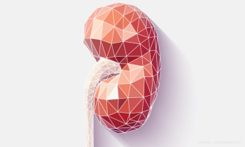 Kidney