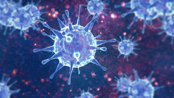 A Hotline and HOT Site – A Centralized Approach to Imaging During COVID-19