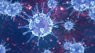 AI-Fueled COVID-19 Detection Algorithm Slices Report Time 30 Percent