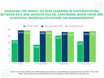 Can AI Assessment of Microcalcifications on Mammography Improve Differentiation of DCIS and Invasive Ductal Carcinoma?