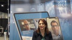 The Potential of Mammography Image-Based AI Models for Assessing Risk: An Interview with Constance Lehman, MD