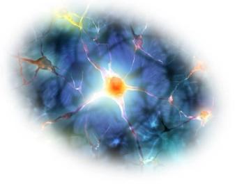 Gadolinium can be detected in the brain after MRIs