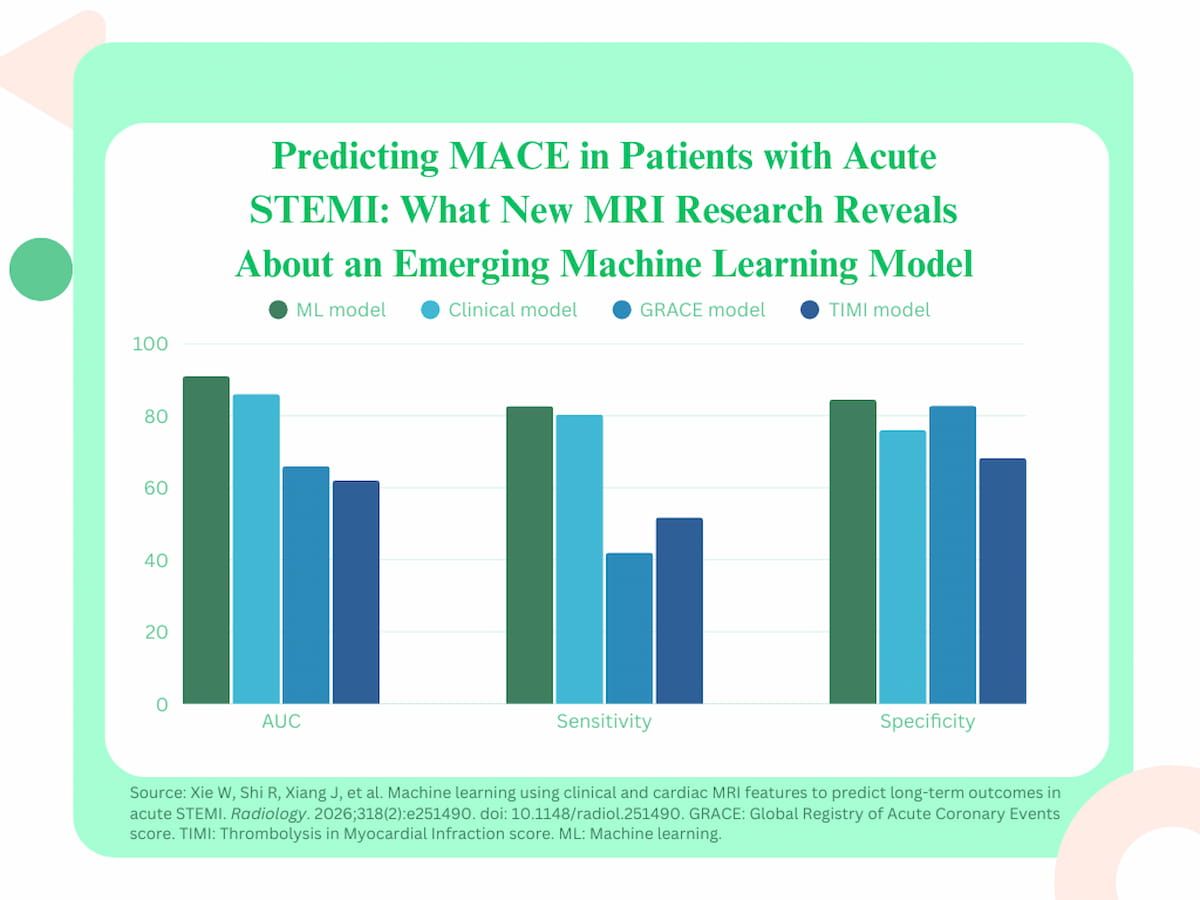 Can Cardiac MRI-Based AI Enhance Long-Term Risk Stratification in Acute STEMI Cases?