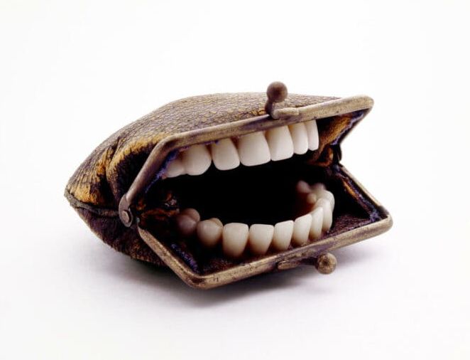 "Purse With Teeth" by Nancy Fouts