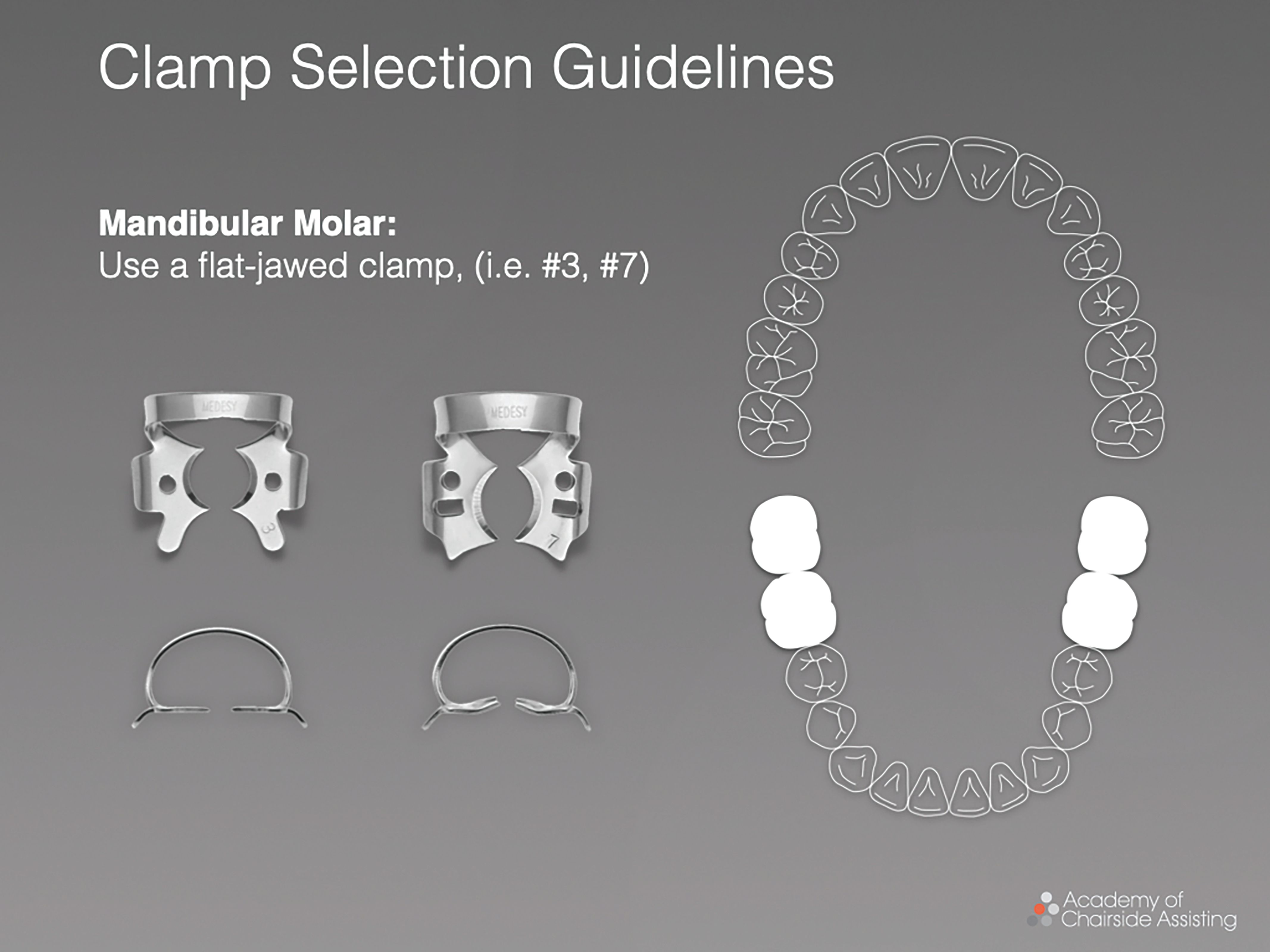 Figure 5. A flat-jawed clamp is used for mandibular molars.