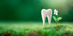  7 Steps Toward a Sustainable Dentistry