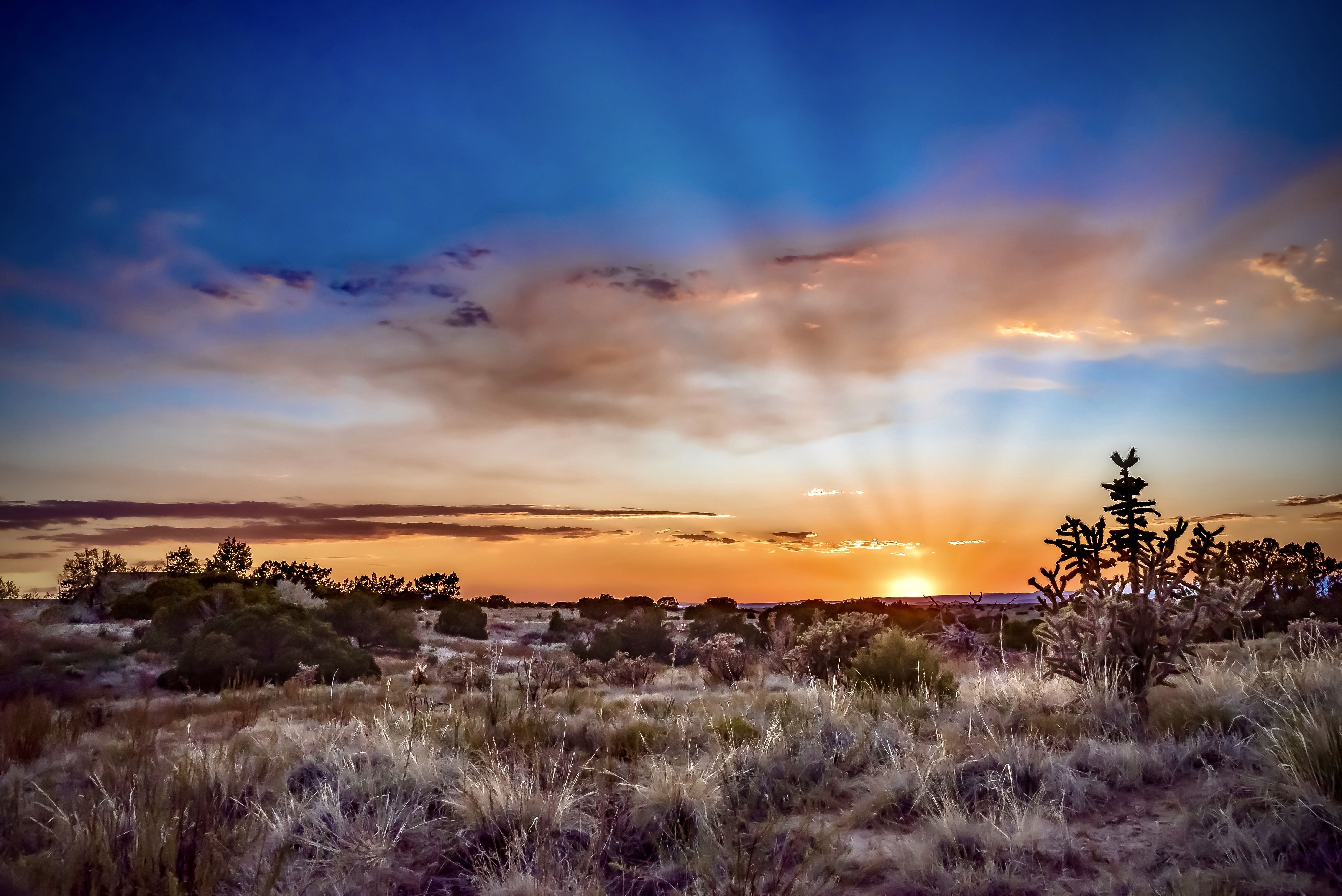 ©Wirestock/stock.adobe.com