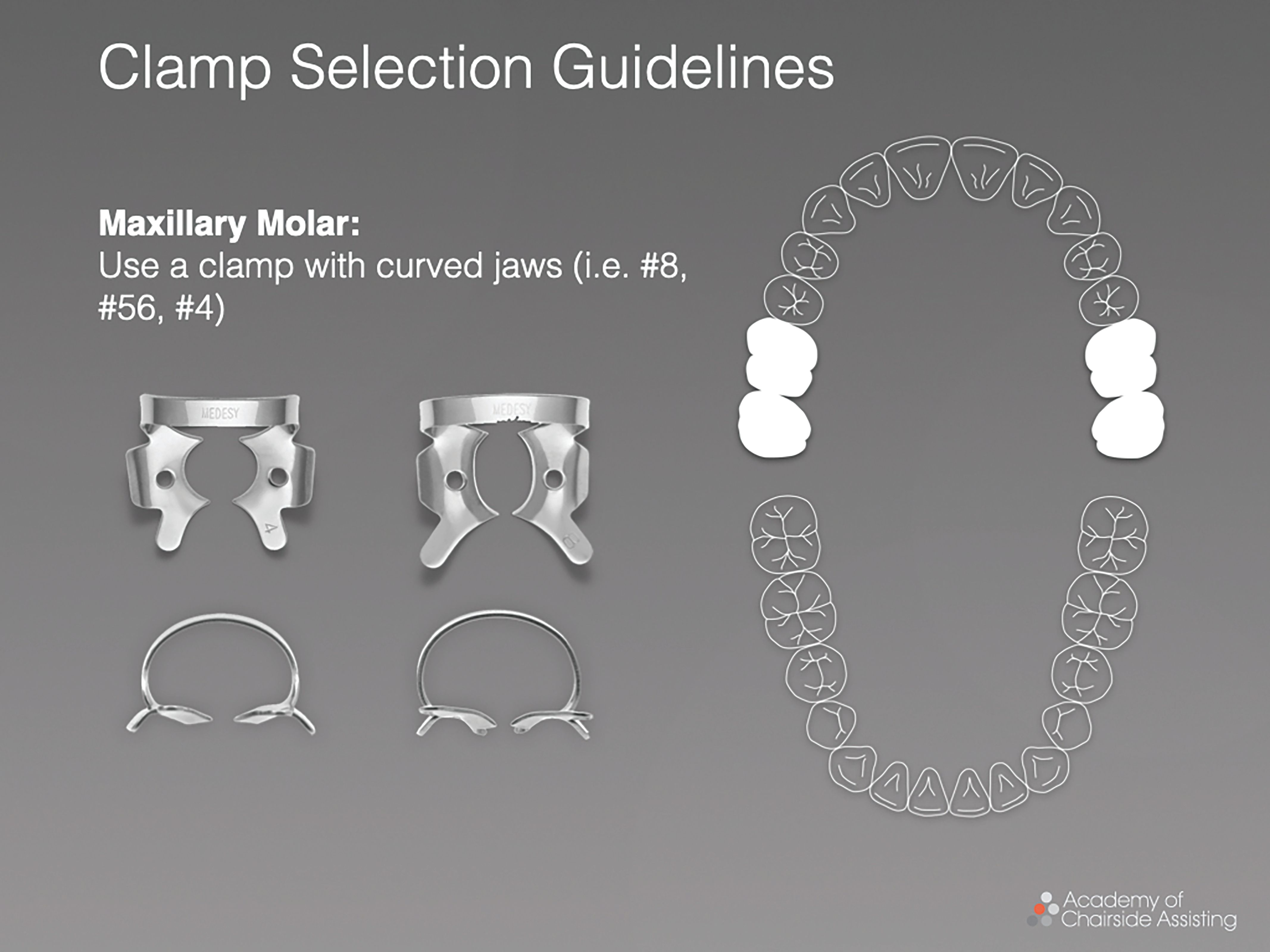 Figure 6. Maxillary molars are best suited with clamps with curved jaws.