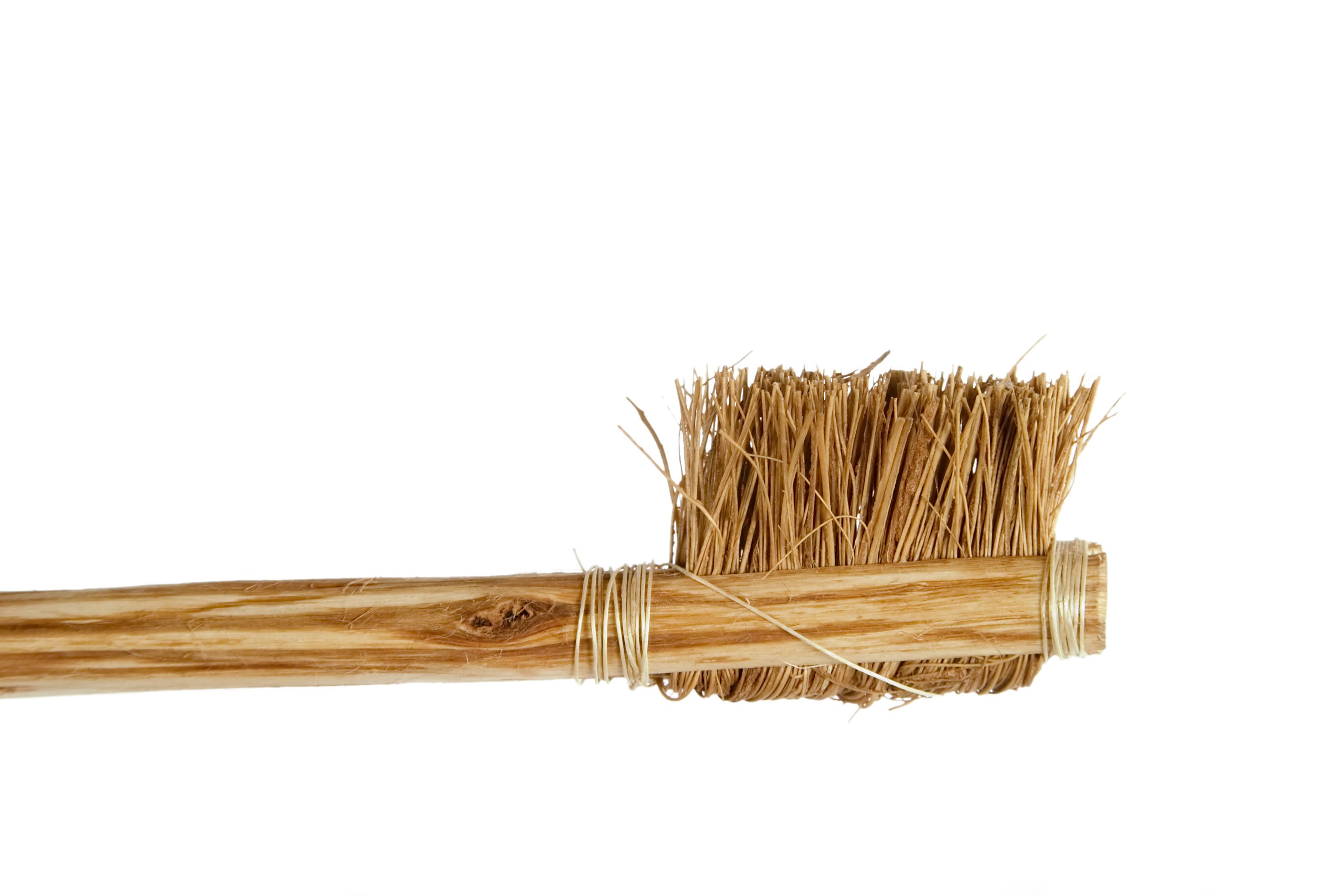Toothbrush Old Toothbrush evolution