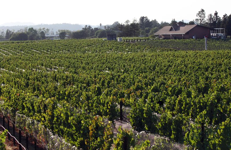 2.	Santa Rosa, California