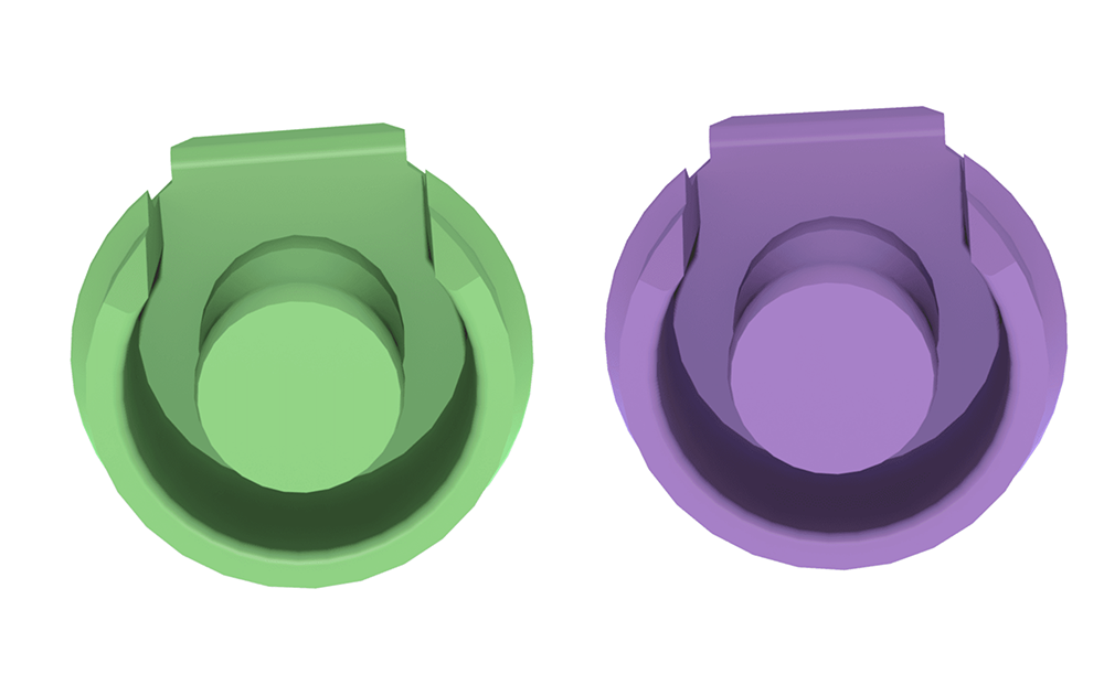 ERA RV Green and Purple