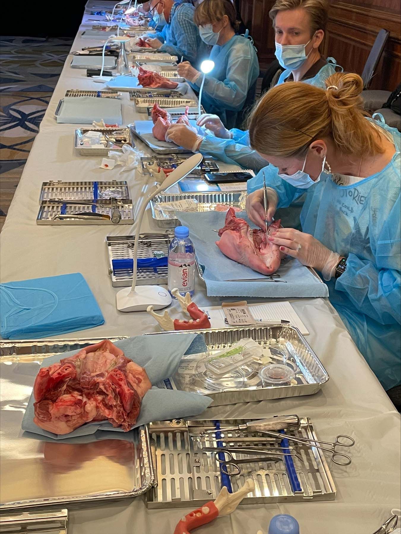 A lecture and hands-on master course presented by Fred Silva, DDS, MS, addressed among other things soft tissue augmentation around implants and teeth, and flap design and lateral bone augmentation. | Image Credit: © Dentsply Sirona