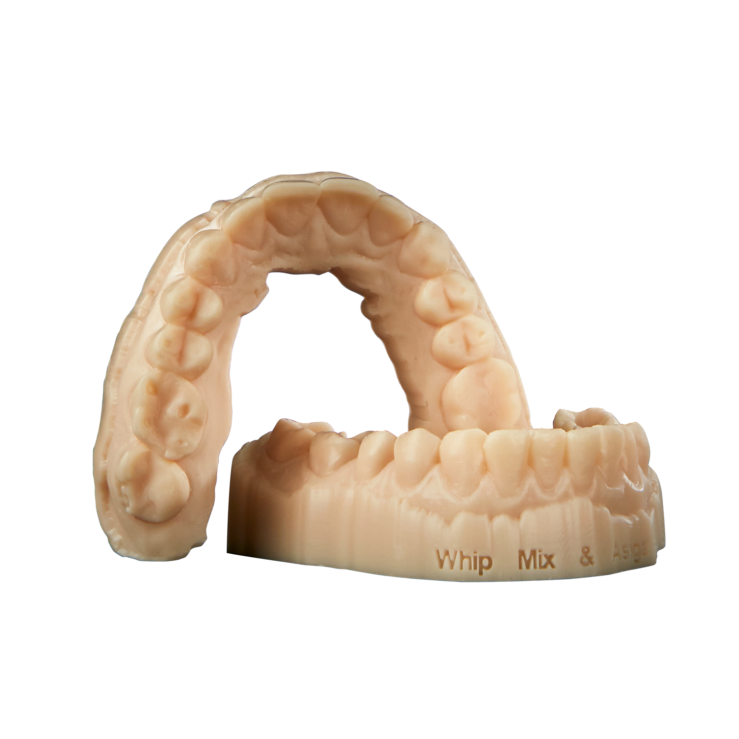 Whip Mix VeriModel OS Ivory from Whip Mix Corp.