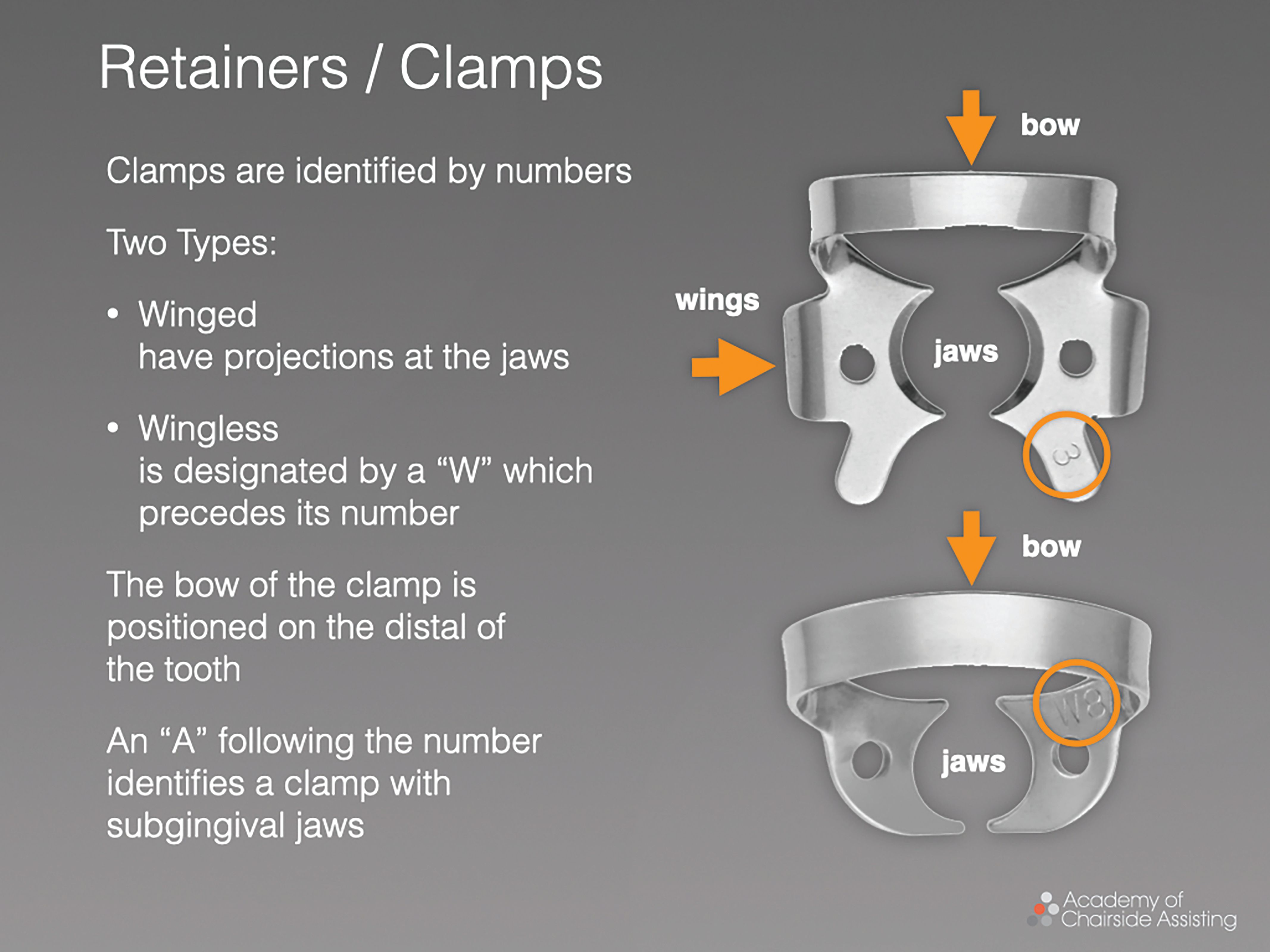 Figure 2. Dental clamps can be divided into two categories; winged and wingless.