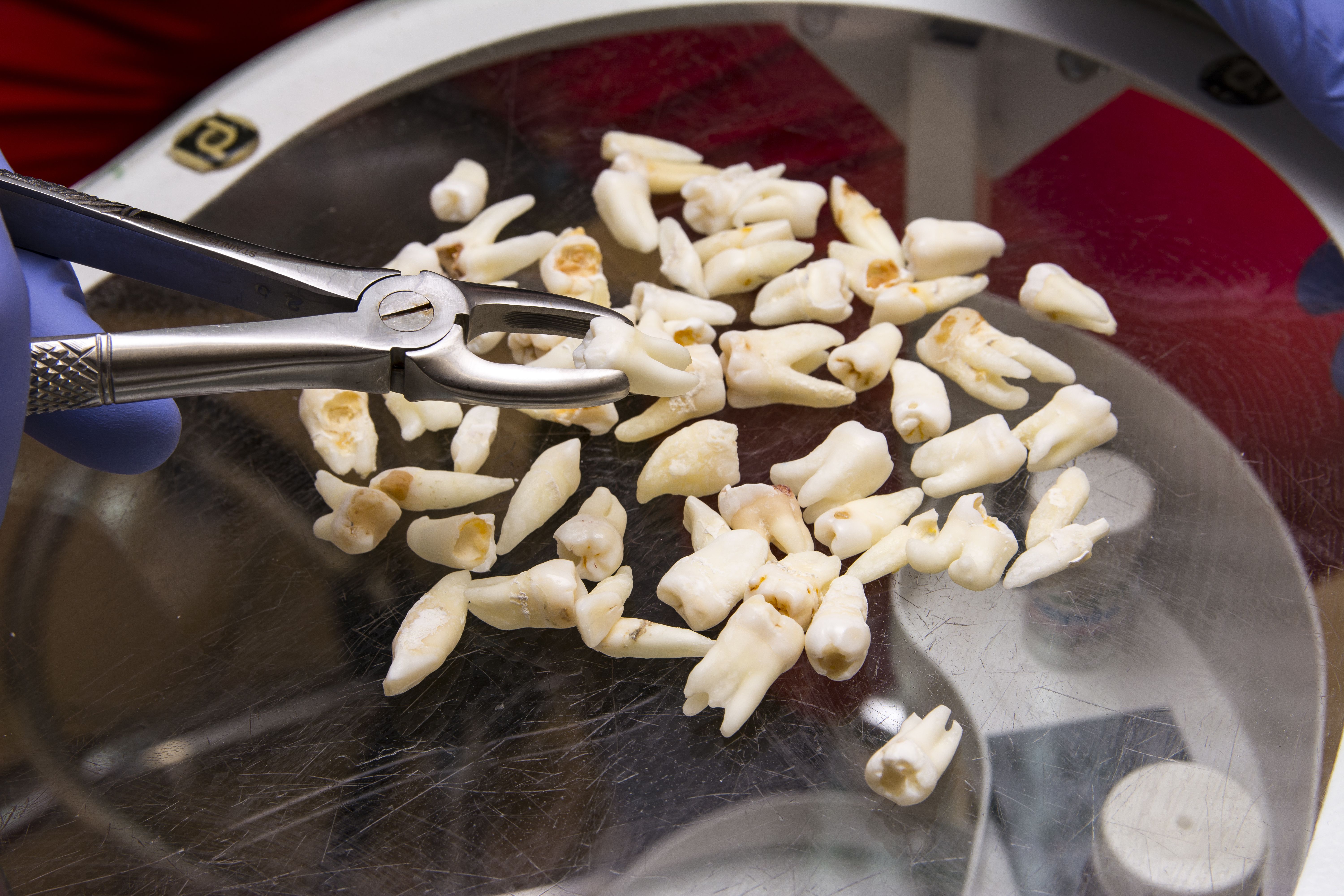 Vladyslav / stock.adobe.com