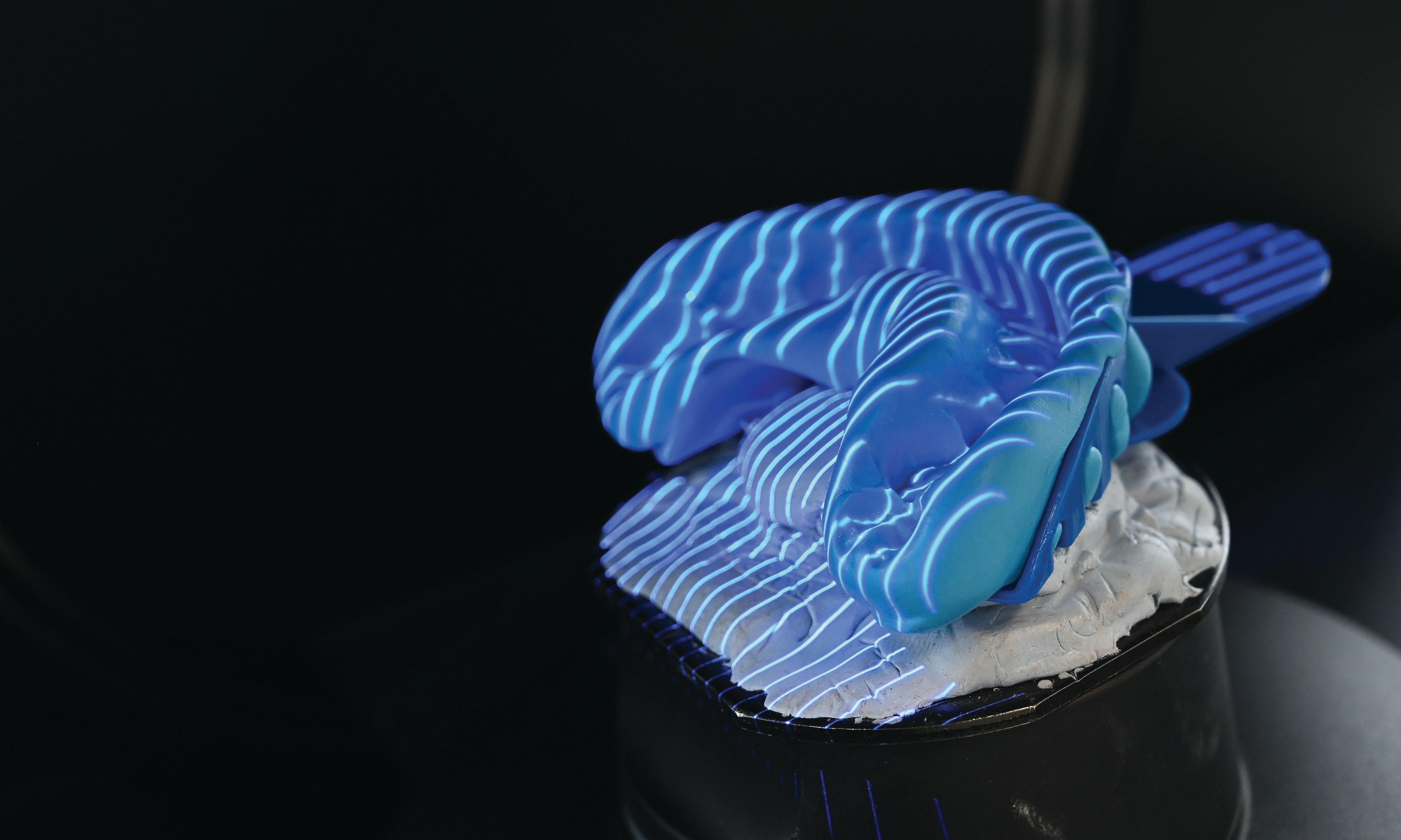 Surveying the Lab Scanner Landscape