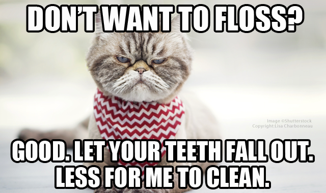 Hilarious Memes Only Dental Offices Will Understand