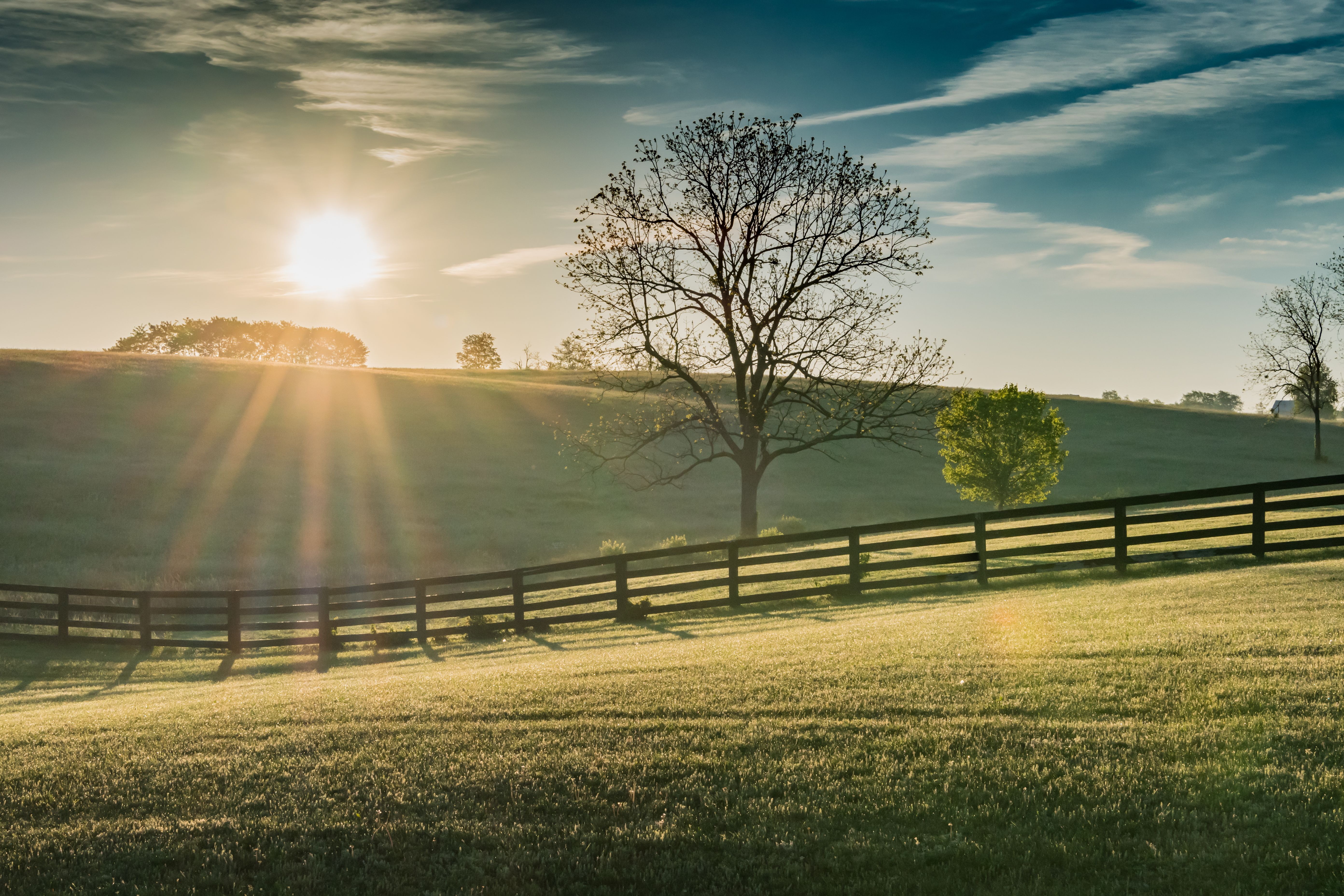 ©kellyvandellen/stock.adobe.com