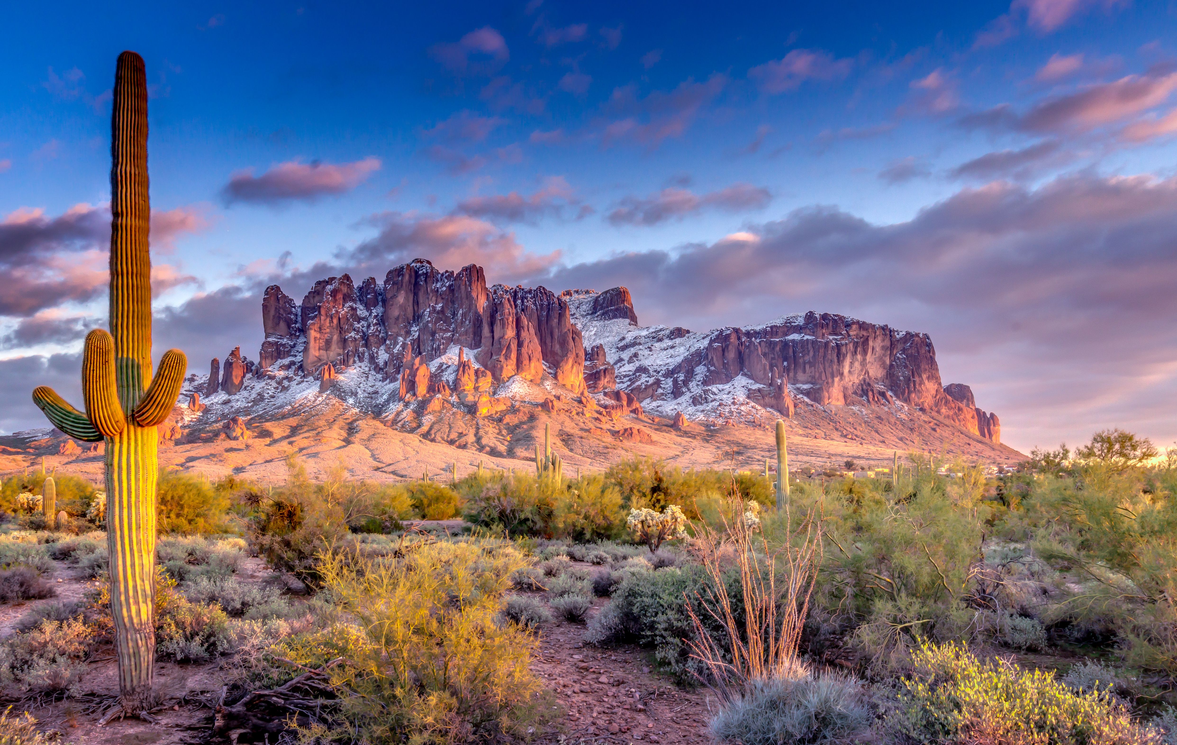 ©jon manjeot/stock.adobe.com