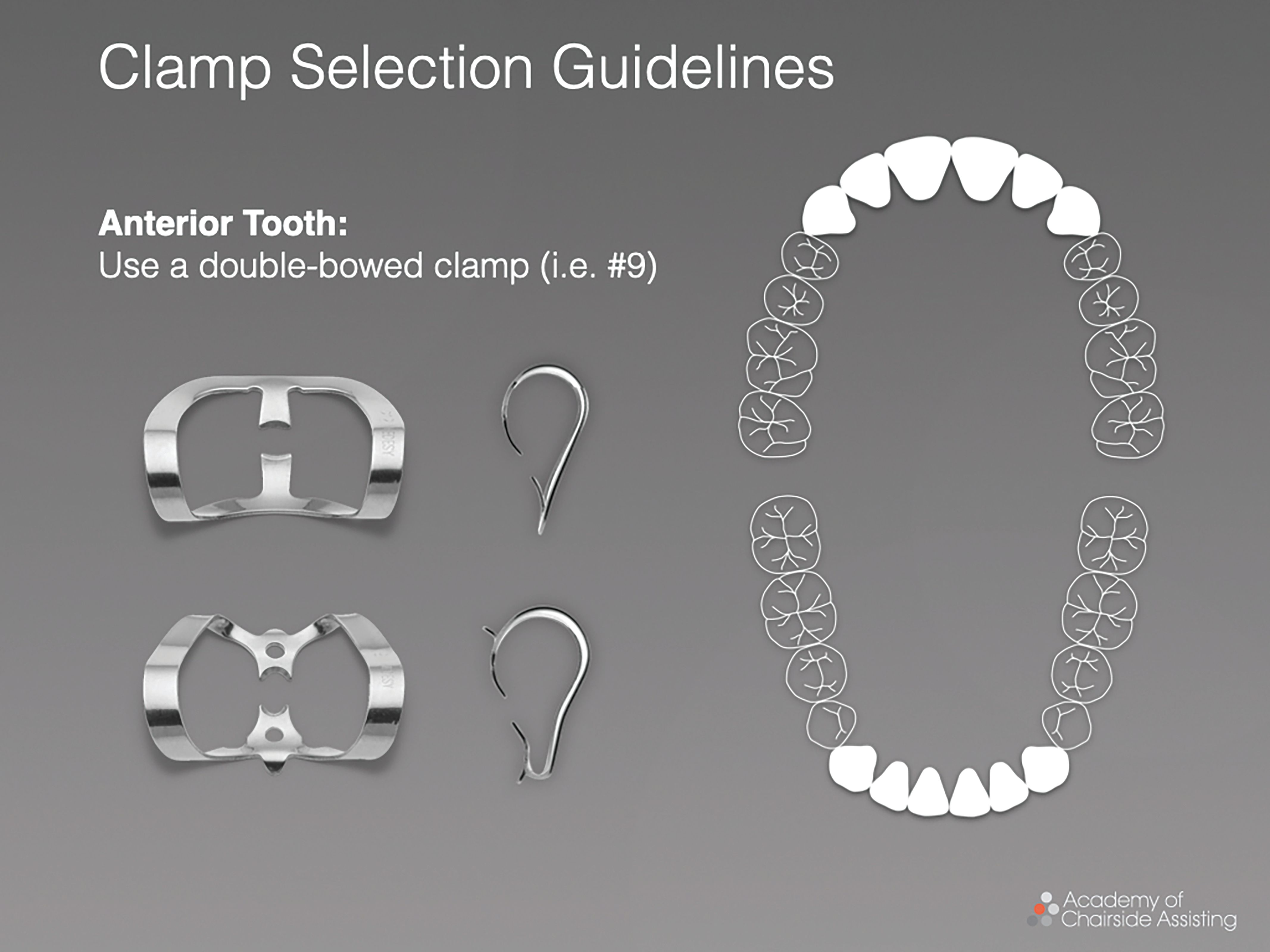 Figure 3. A double-bowed clamp should be used for anterior teeth. 