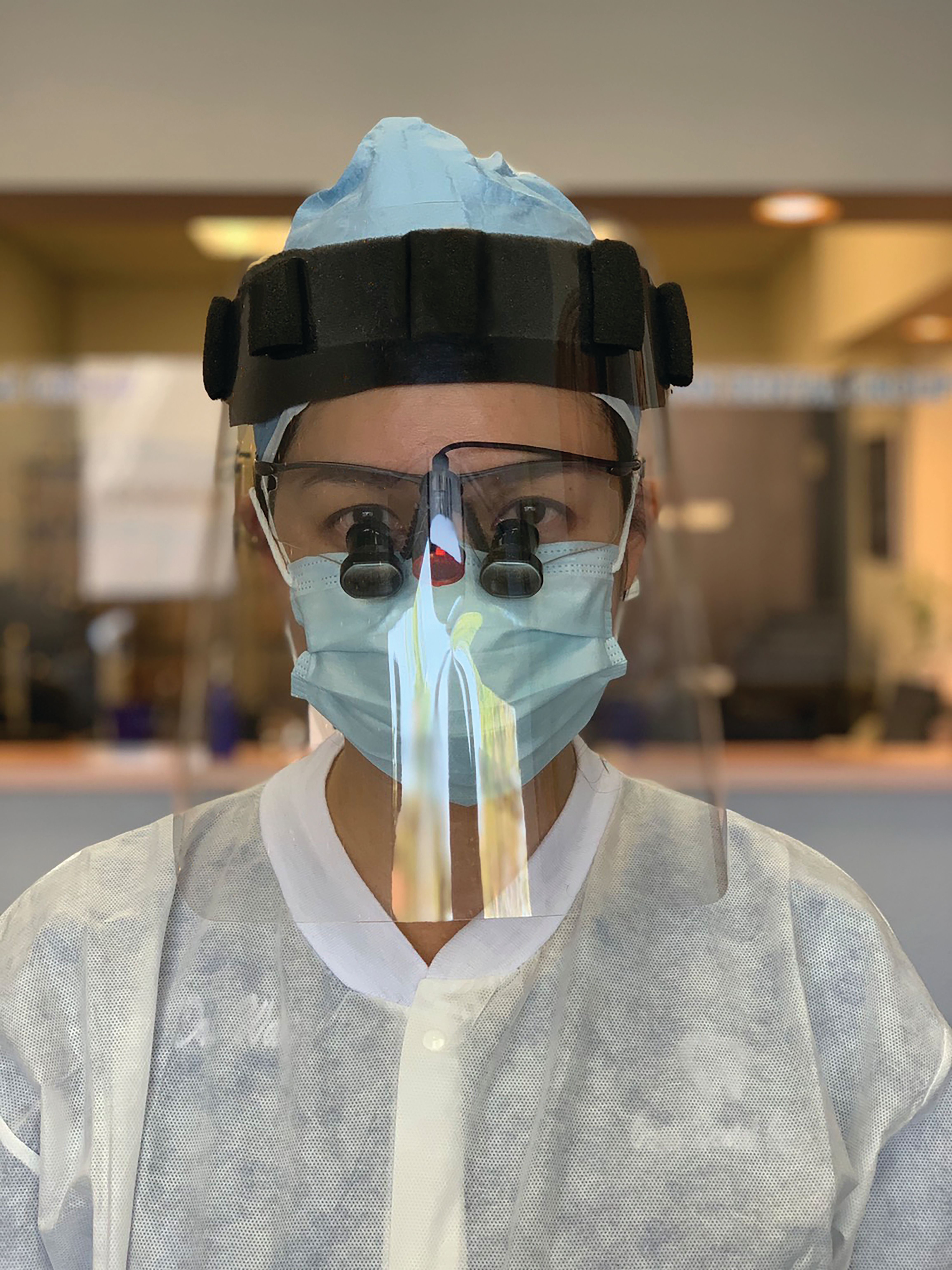 Face Shield (Pro)