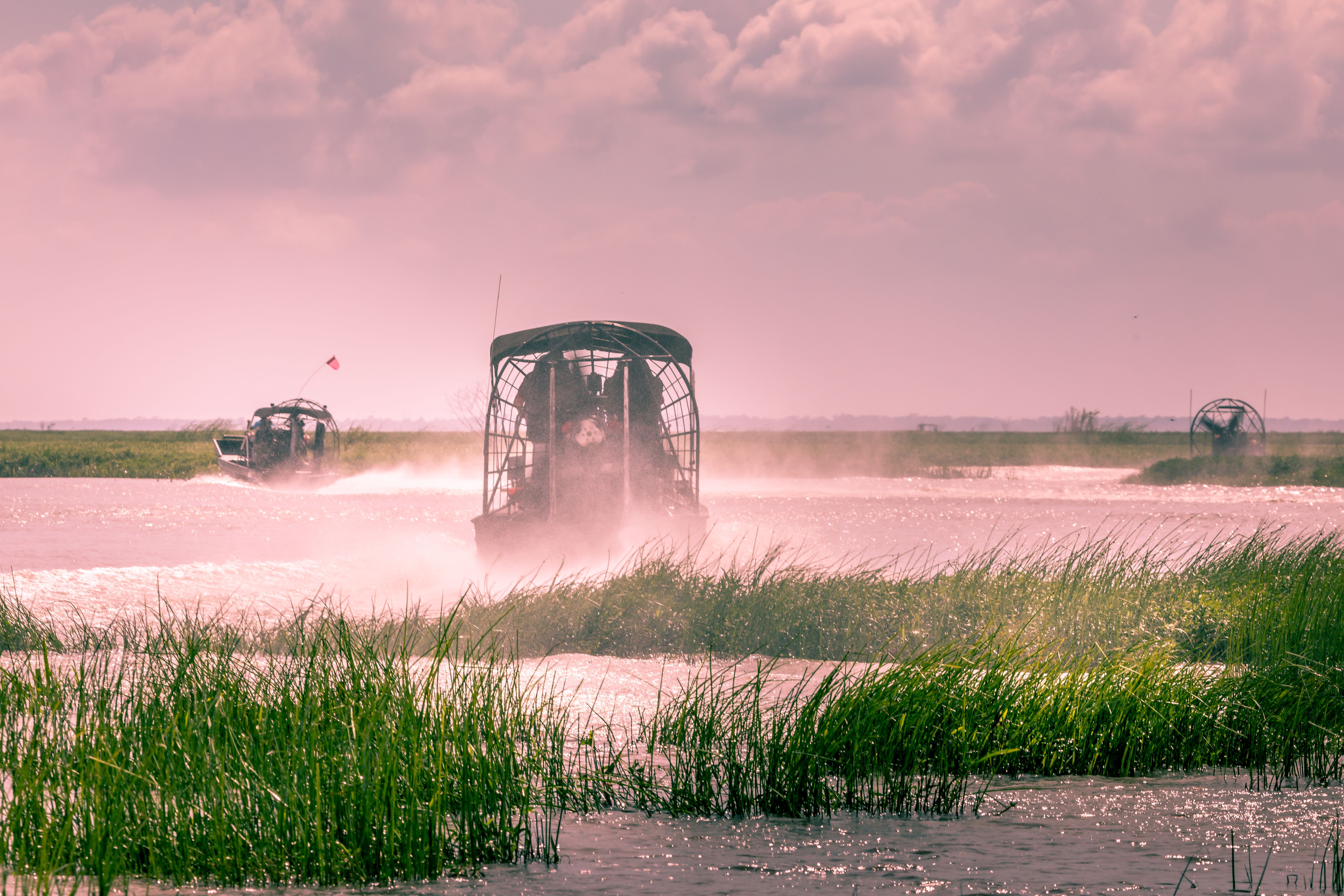 ©Martina/stock.adobe.com