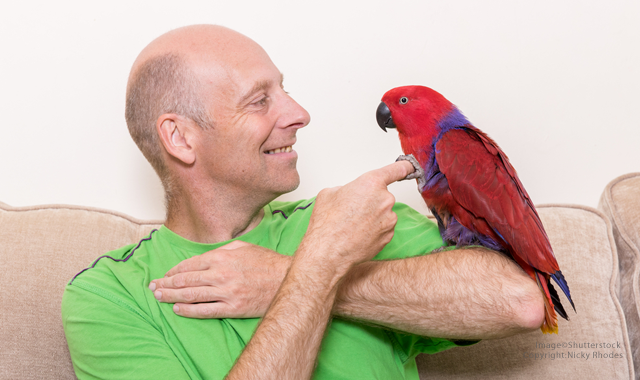 Man and a pet bird