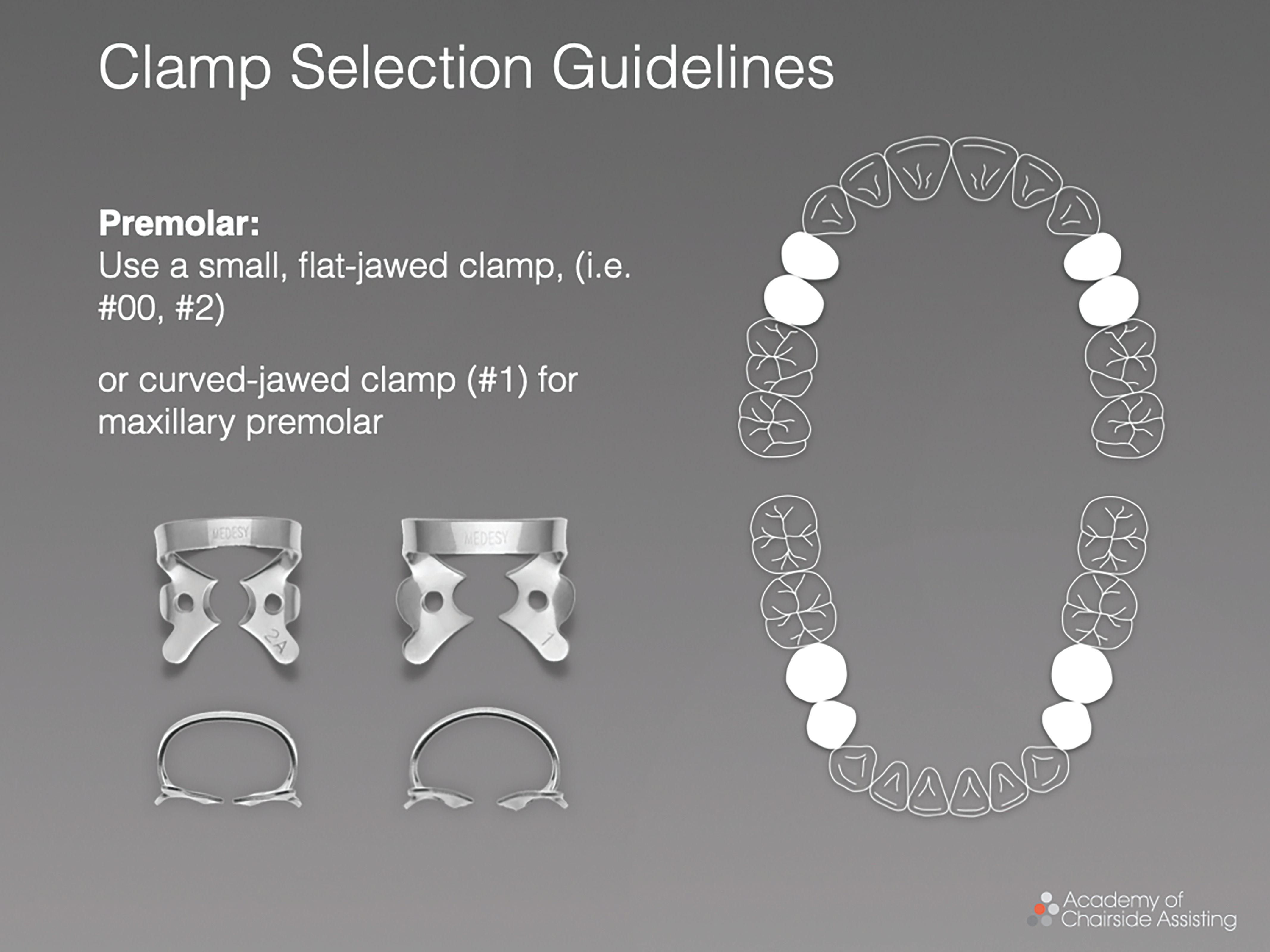Figure 4. A flat-jawed clamp or curved-jaw clamp should be used on premolars.