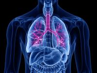 COVID-19 Vaccination Reduces Mortality Related to COPD